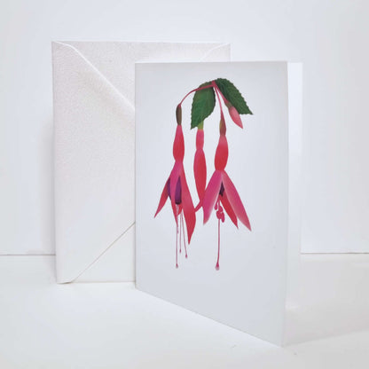 Fuchsia greeting Card, A6, White with Oyster Pearl Coloured Envelope, Blank inside