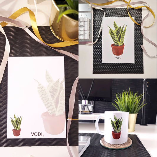 Snake Plant Sansevieria 3-Piece Bundle that includes A6 Notepad, A5 Postcard, and 11oz Coffee Mug